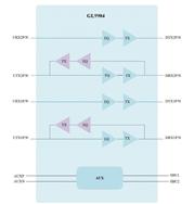 (chung)ΩƼ-GL9904-QFN42 4ͨ10gbps(xin)(q)(dng)